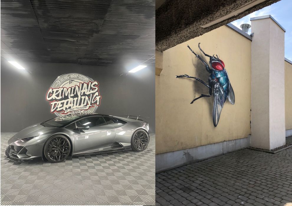 Murale artystyczne Graffiti Ekologiczne murale