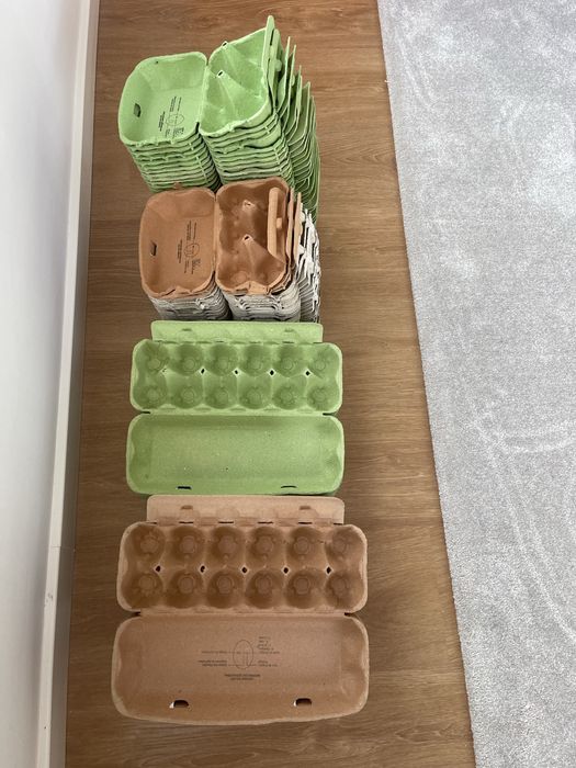 Caixas de ovos descartaveis 95 unidades