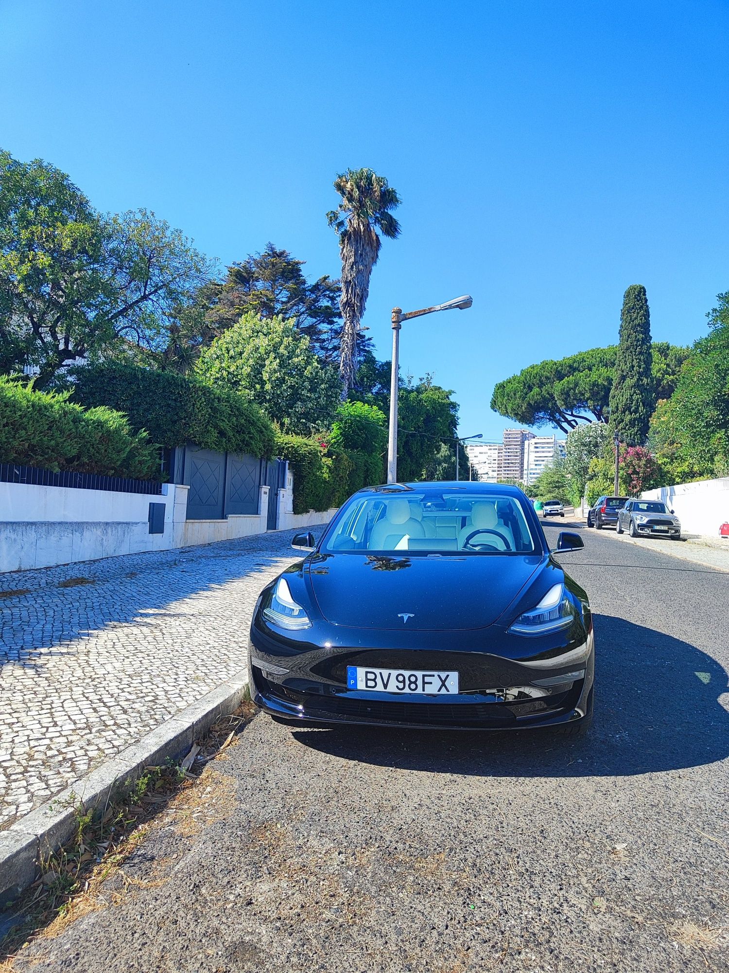 Tesla model 3 Long Range AWD SOH 86%