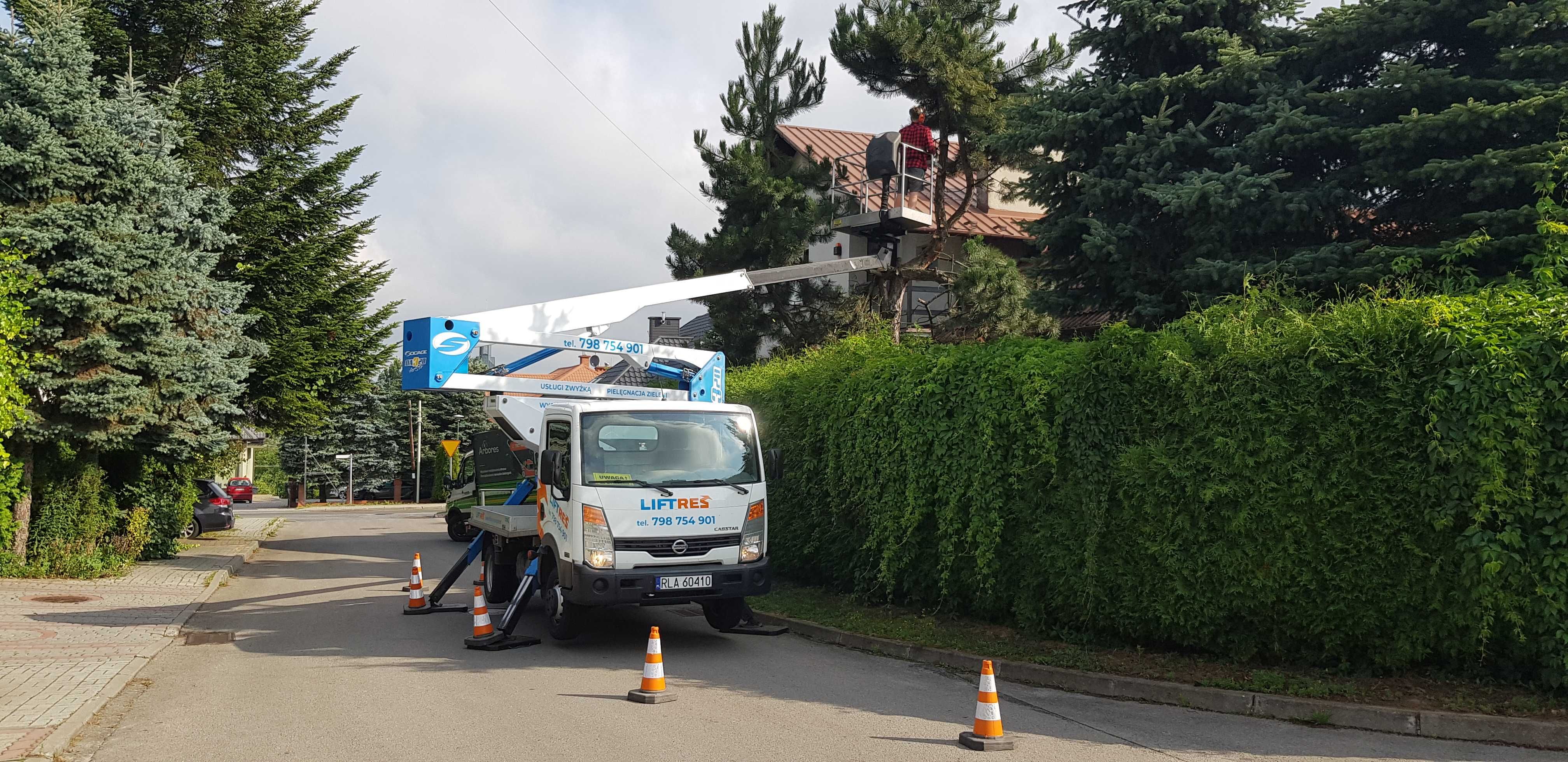 Wycinka drzew i krzewów, frezowanie pni, rębak, mulczer