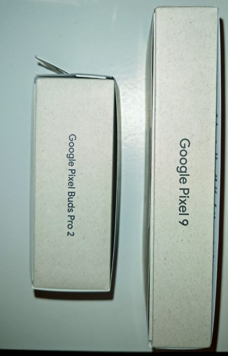 Google Pixel 9 + Google Buds Pro 264739764091393122