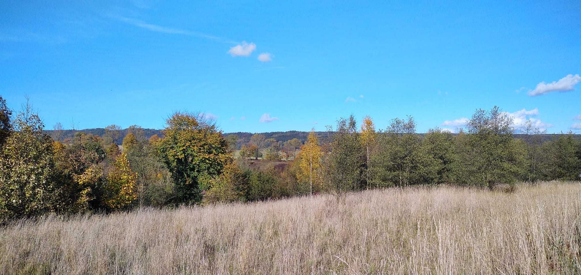 Piękna działka budowlana, Szczytna, ul. Szklarska 1, 1950/7