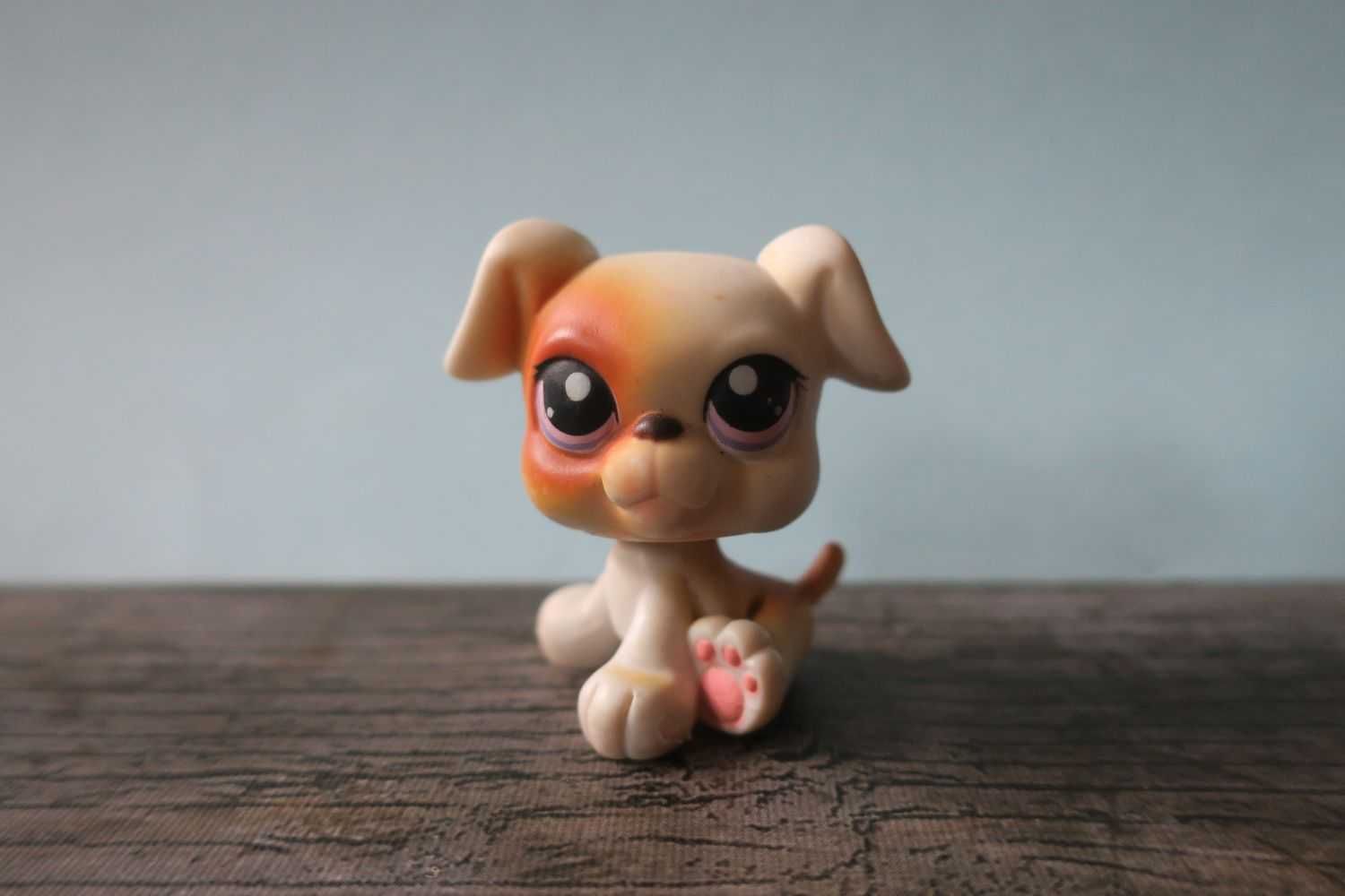 Figurka Littlest Pet Shop LPS piesek pies bokser Hasbro
