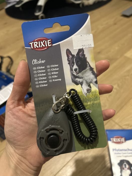 Kliker do treningu psa