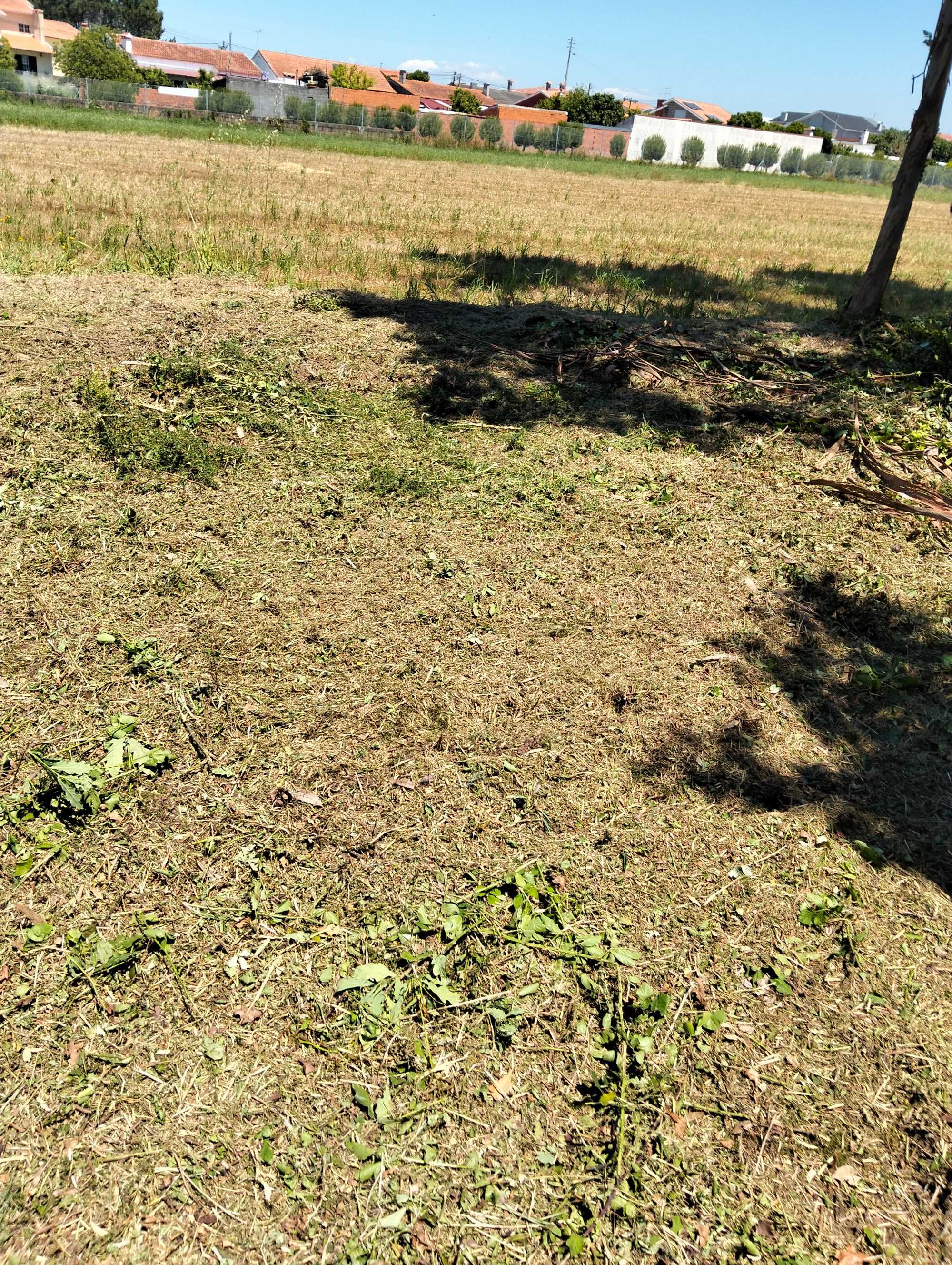 Limpeza de terrenos e jardinagem