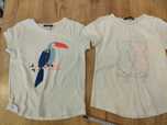 T-shirt 122 okaid tukan kotki cekinowe dwukolorowe