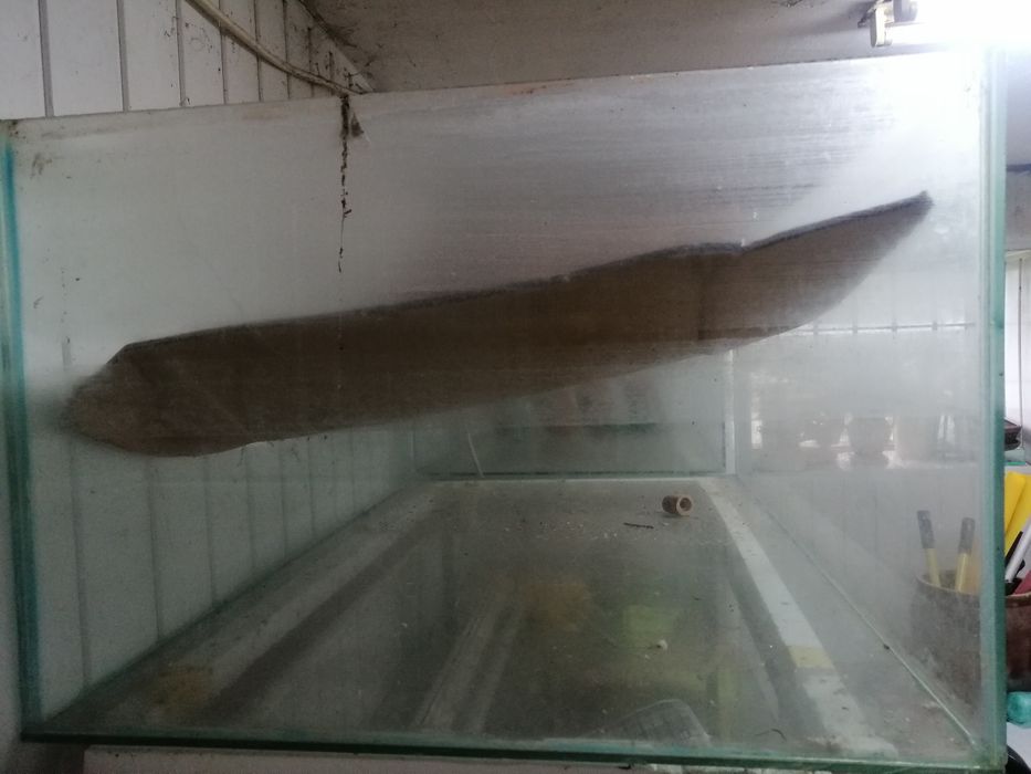 Do sprzedania Akwaria szkło techniczne grube od 0.5cm