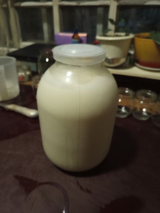 Козье молоко,йогурт,творог.