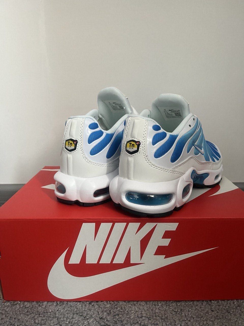 Кроссовки Nike Air Max Plus TN