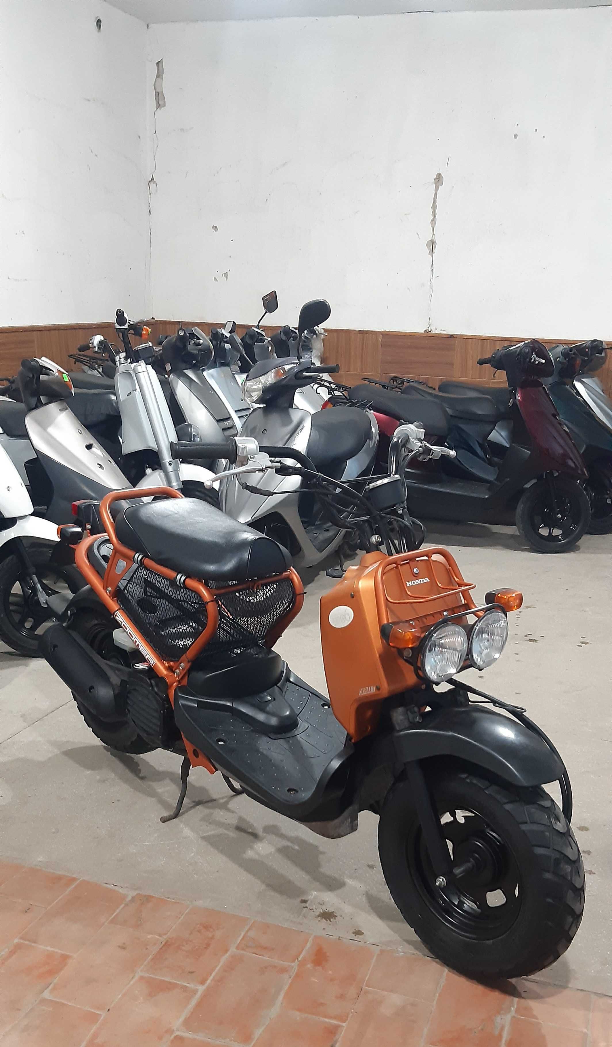 Скутер Honda ZOOMER