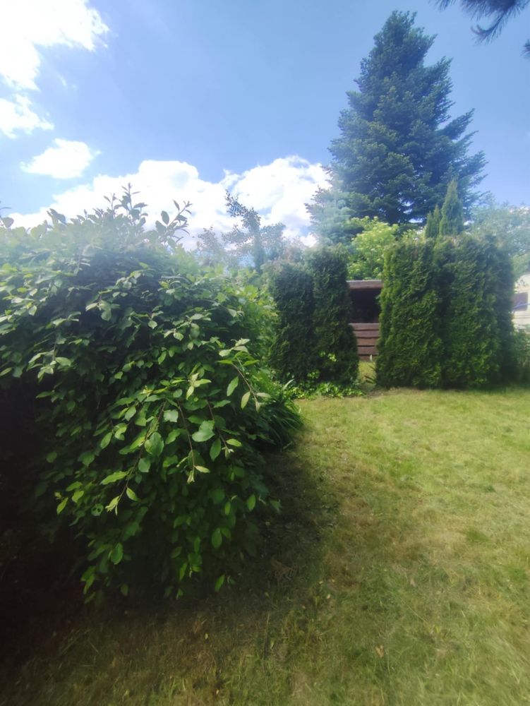 Działka ROD 300m2 Paluch włochy