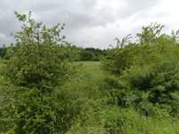 Działka ,budowlana nad morzem 1600m2