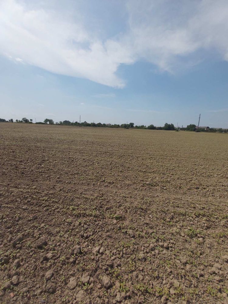 Земельна ділянка 1,1465га