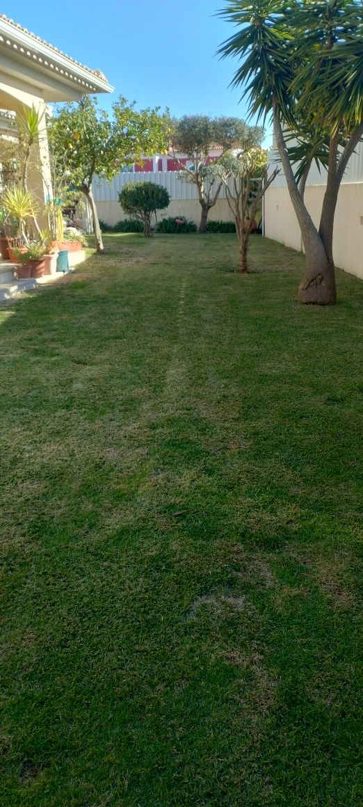 Jardineiro e manutenção