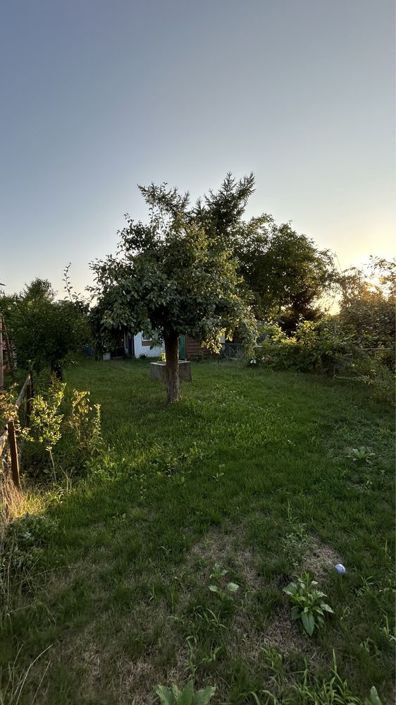 Ogródek działkowy 255 m2 ROD Lepsze jutro ul. Jaracza