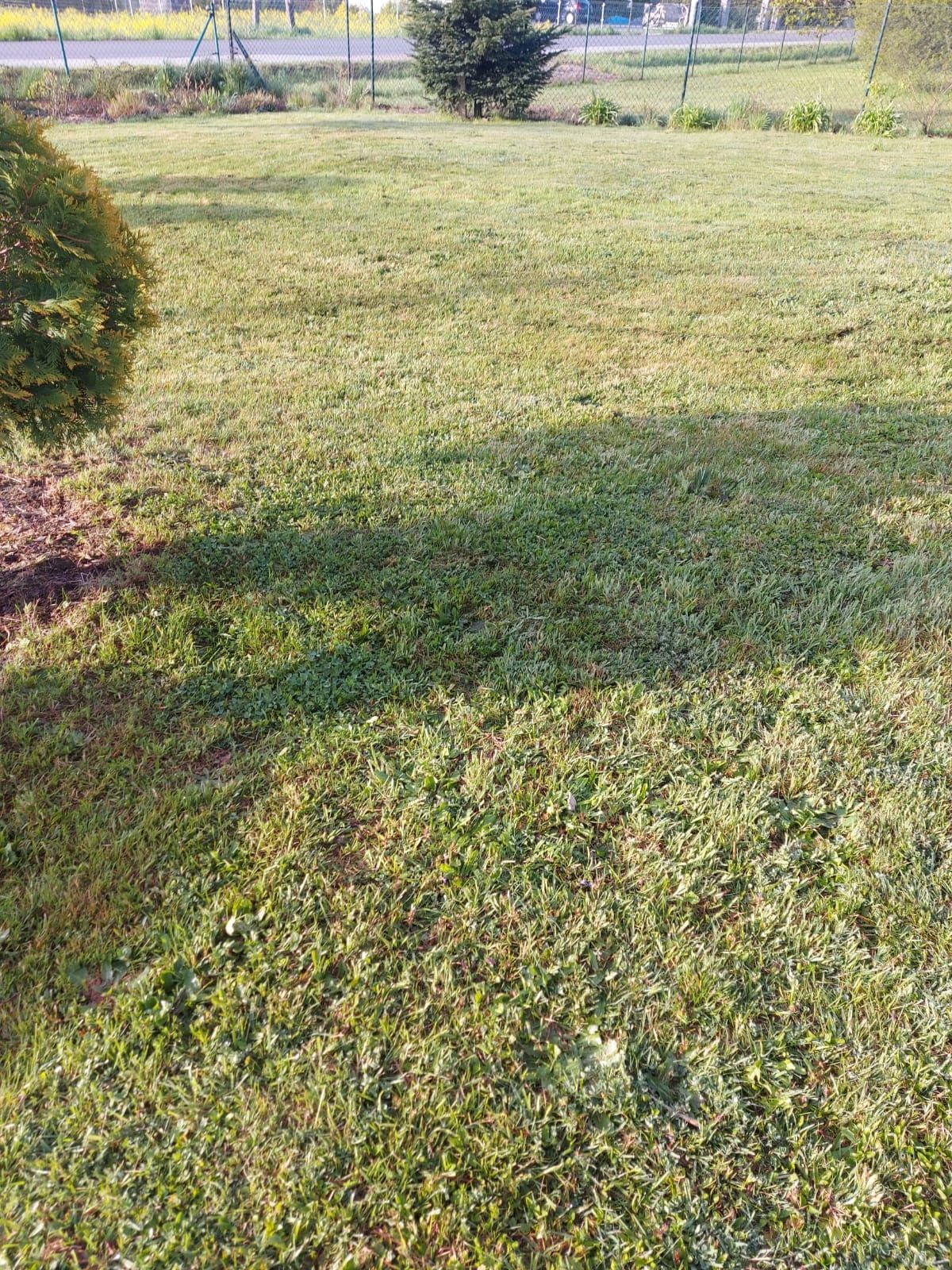 Koszenie trawy nieużytków karczowanie wycinanie ogrody nieużytki