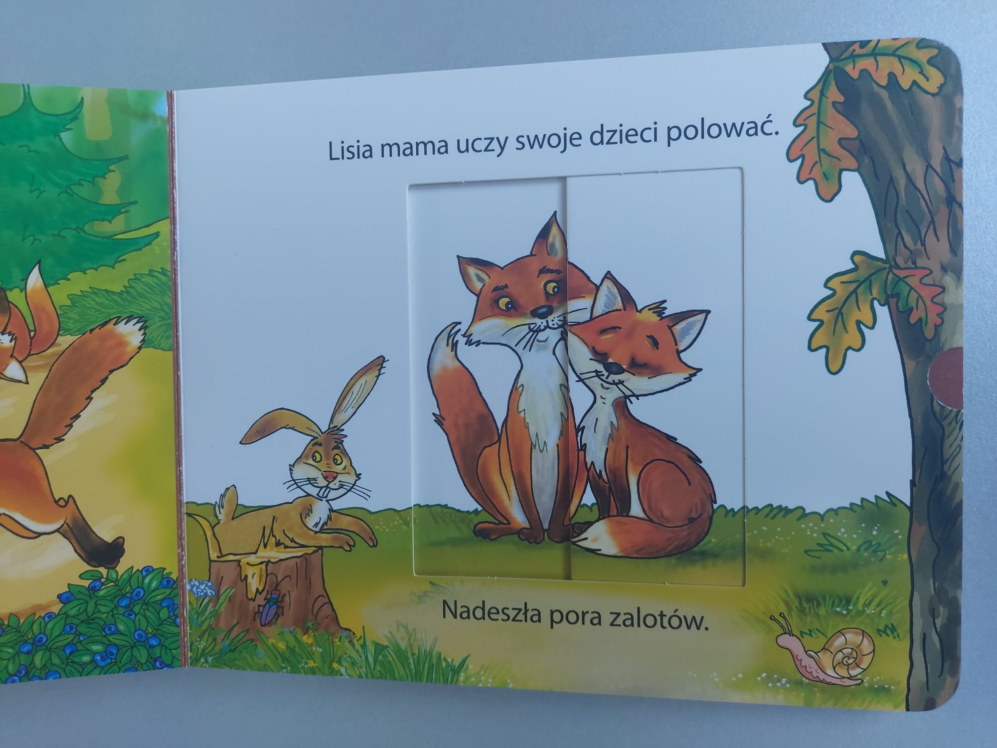 W lesie - Książeczka z wysuwanymi elementami