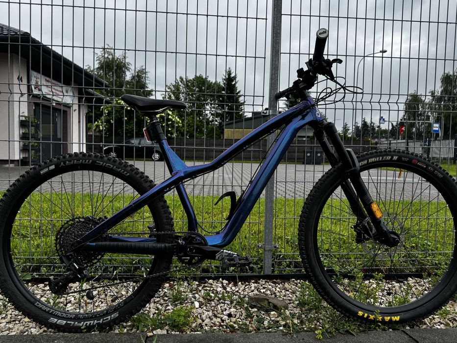 Dartmoor hornet Pro 2025 Mullet!