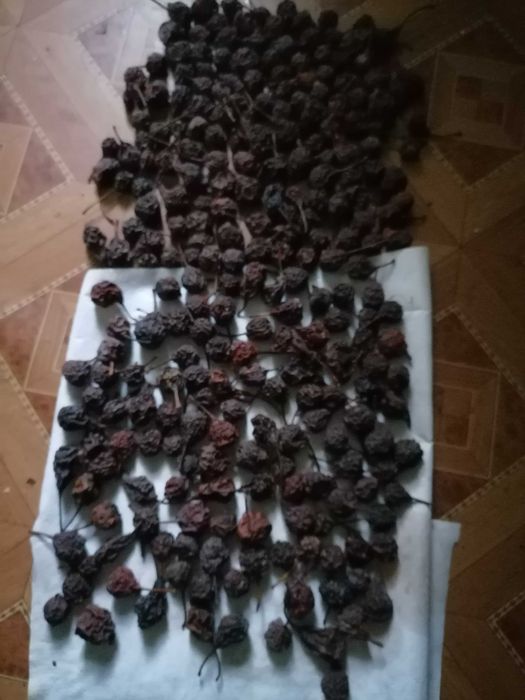 груша лимонка   еко