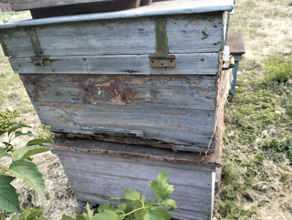Продам улья "лежаки".