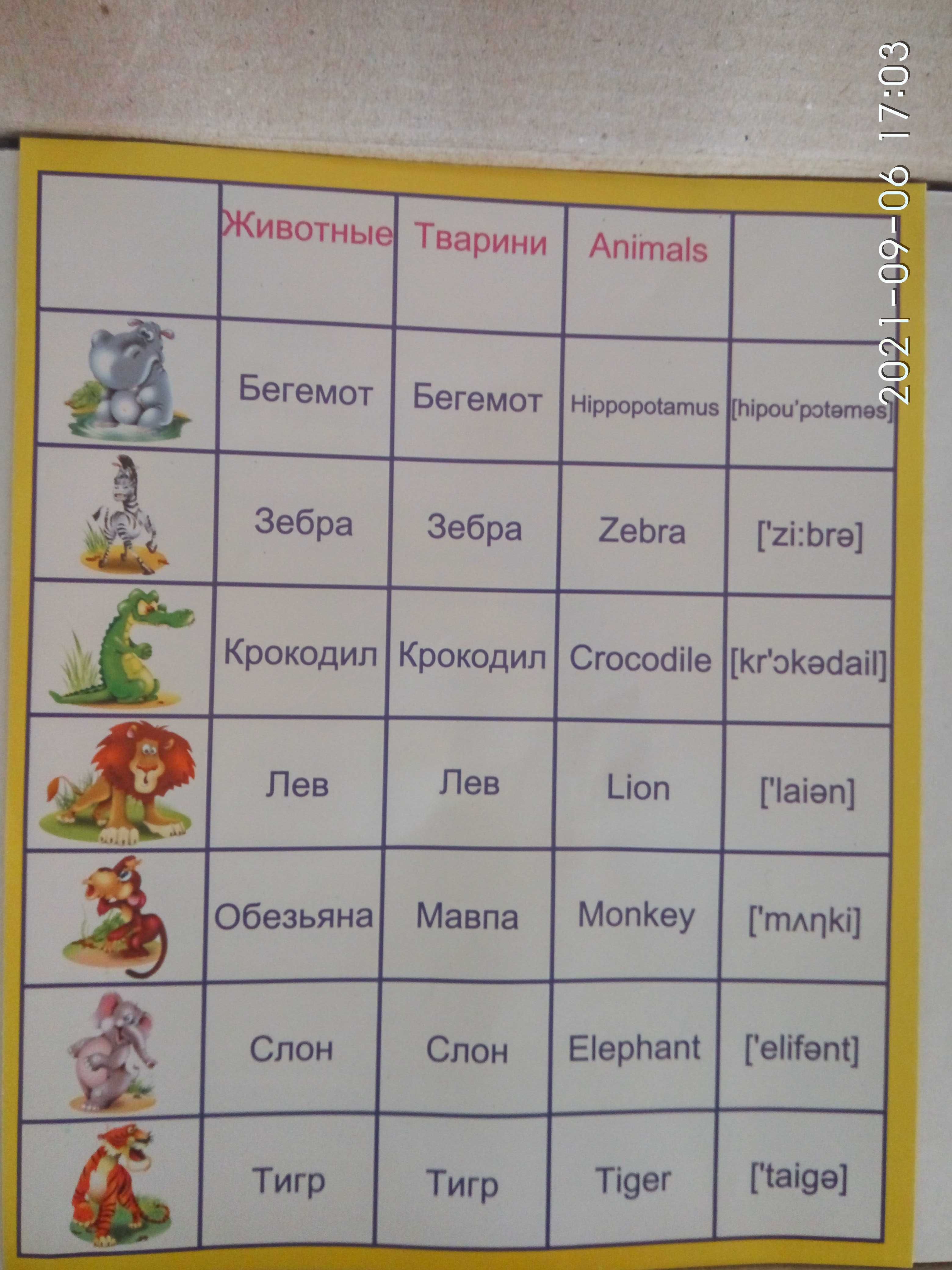 В Луганске продаю детское домино для изучения английского языка
