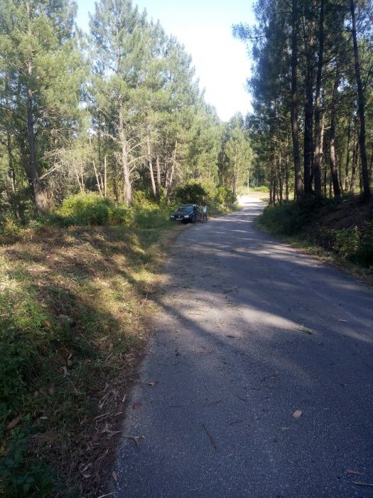 Terreno em Alqueidão - Tomar