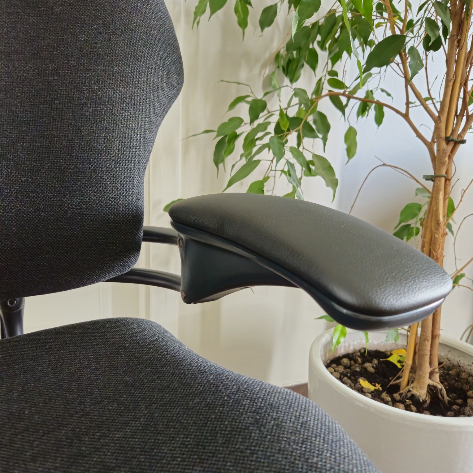 Humanscale freedom