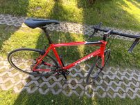 Trek Domane Al 2