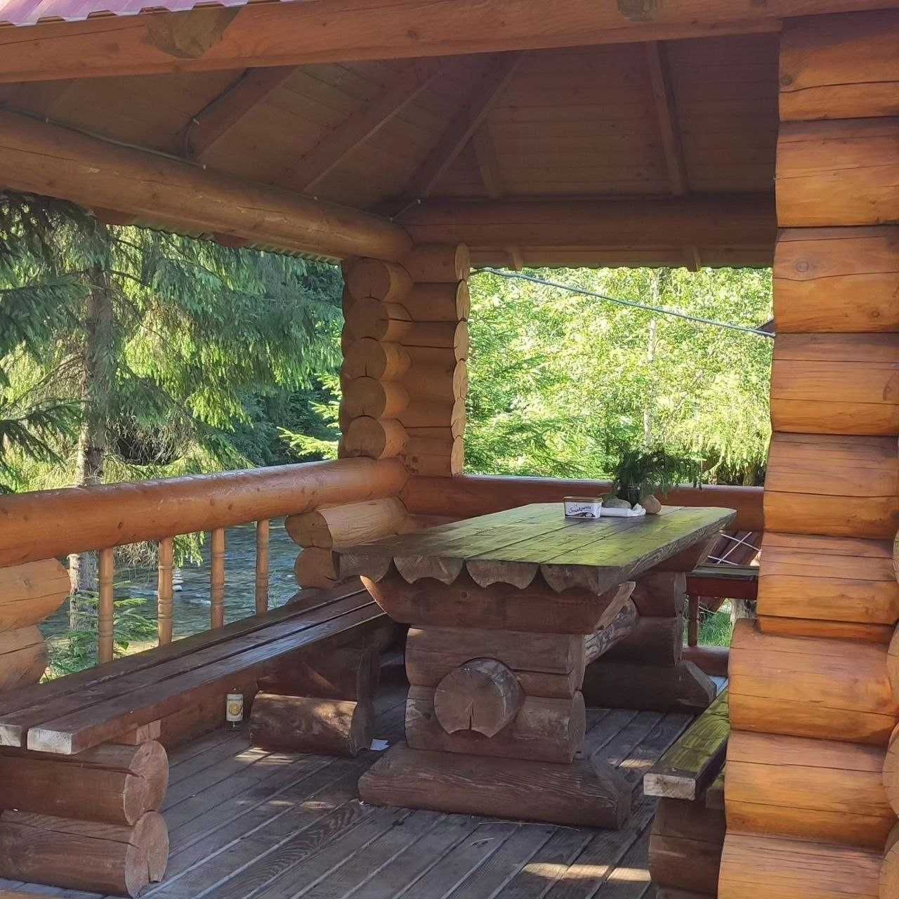 Відпочинок, на березі гірської річки, біля лісу, Ворохта.