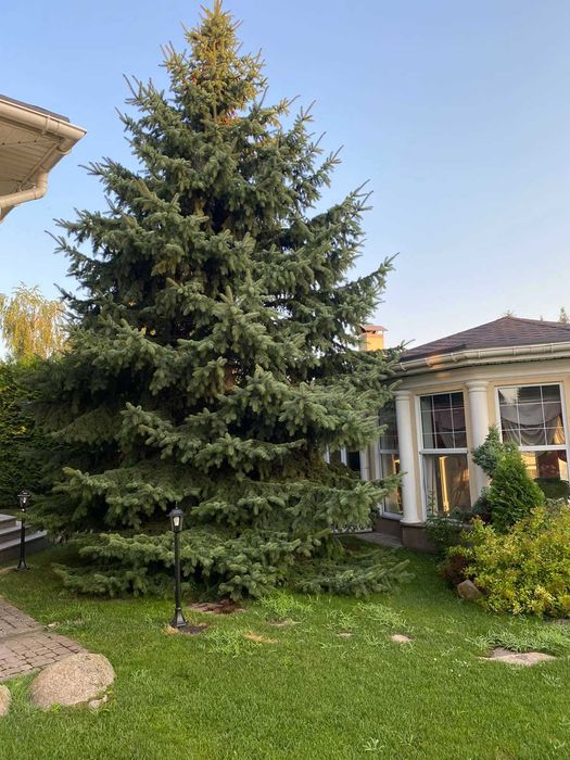 БЕЗ %. Продаж шикарного будинку в Конча Заспі