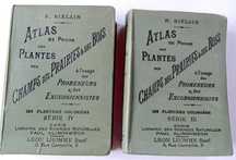 Atlas Plantes Atlas Roślin 1906, 1911 rok