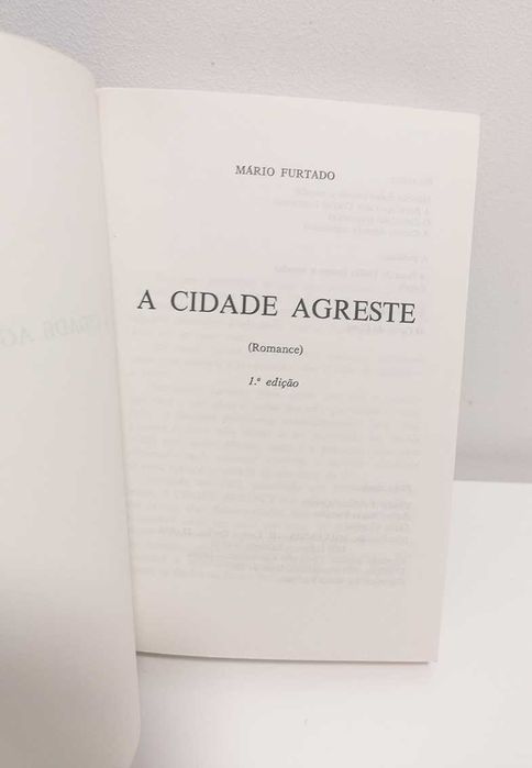 A Cidade Agreste, de Mário Furtado