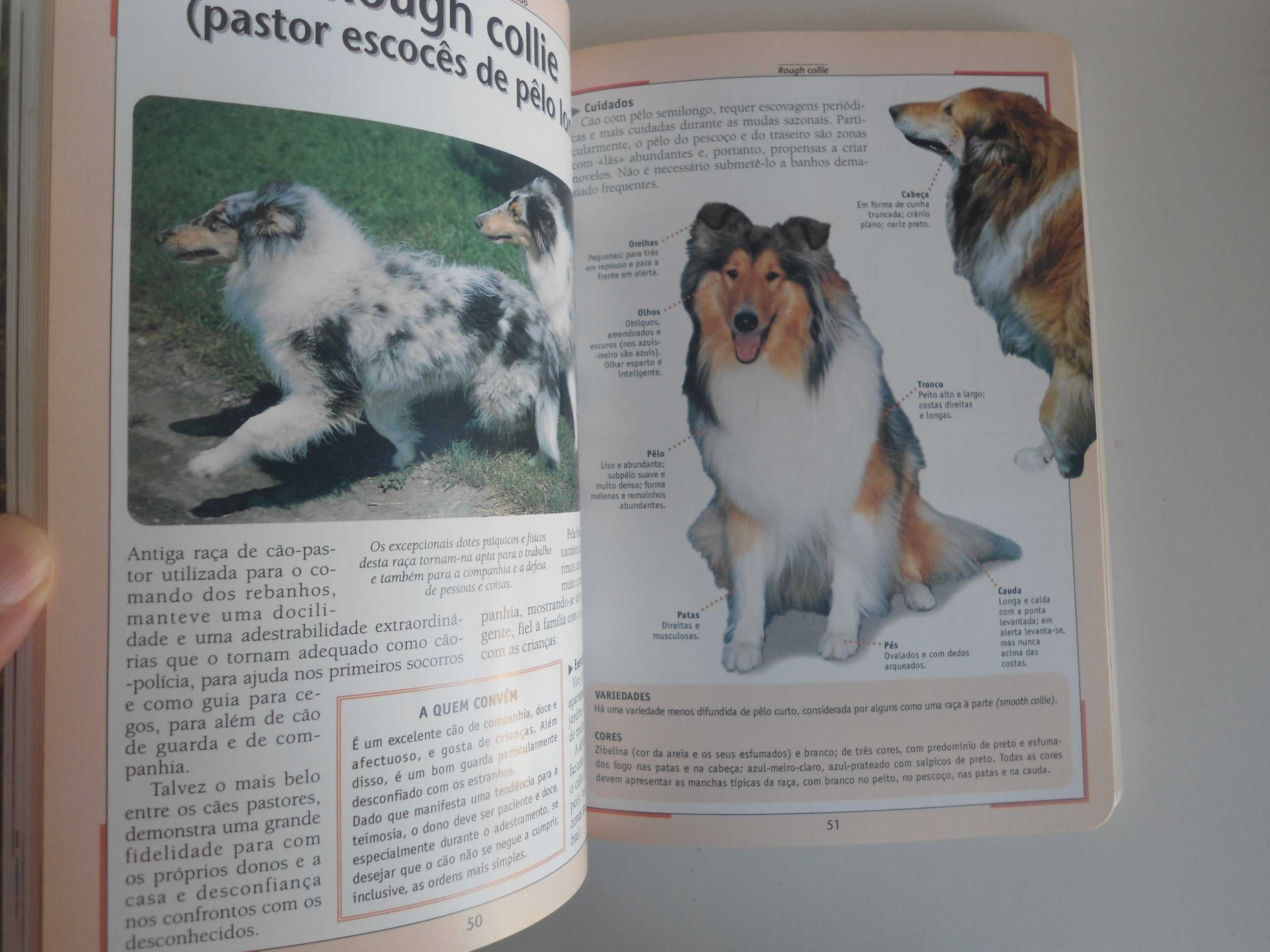 Livro: Cuidado e adestramento do cão