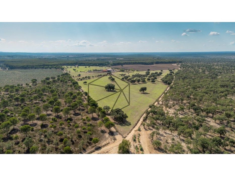 Quinta de 36 hectares para venda em Ponte de Sôr