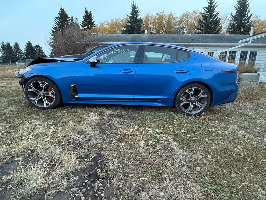 Kia Stinger !!! Helen Cara Zaprasza !! KIA Stinger GT2 !! Auto w Transporcie