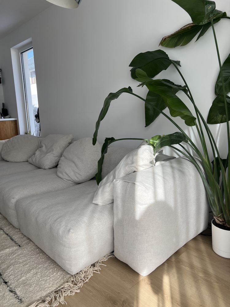 Sofa modułowa optisofa opti sofa kanapa modułowa cloud xs