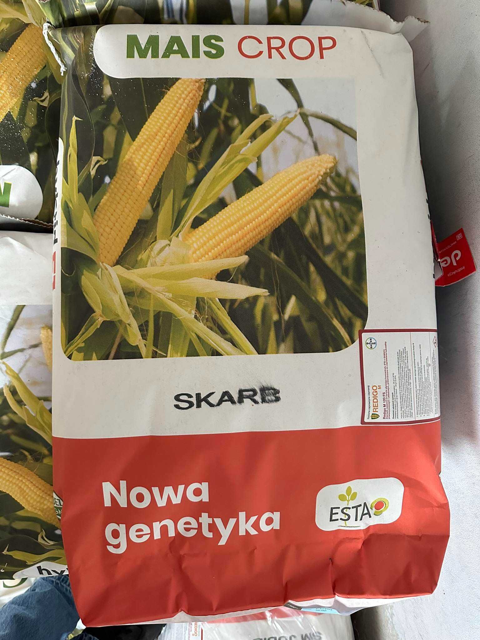 Kukurydza siewna Skarb