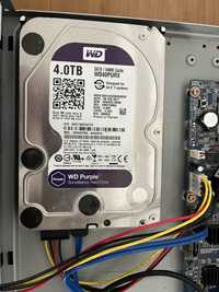 HDD- Western Digital 4TB Purple