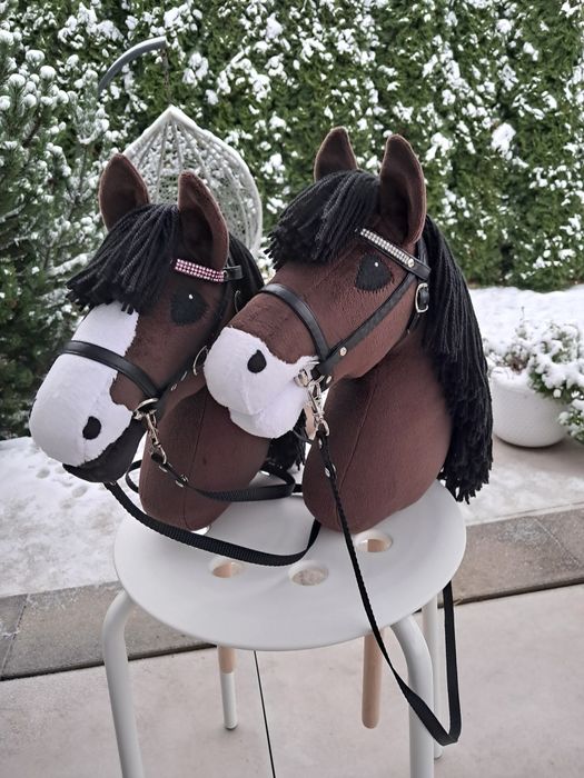 Hobby horse gniady A4