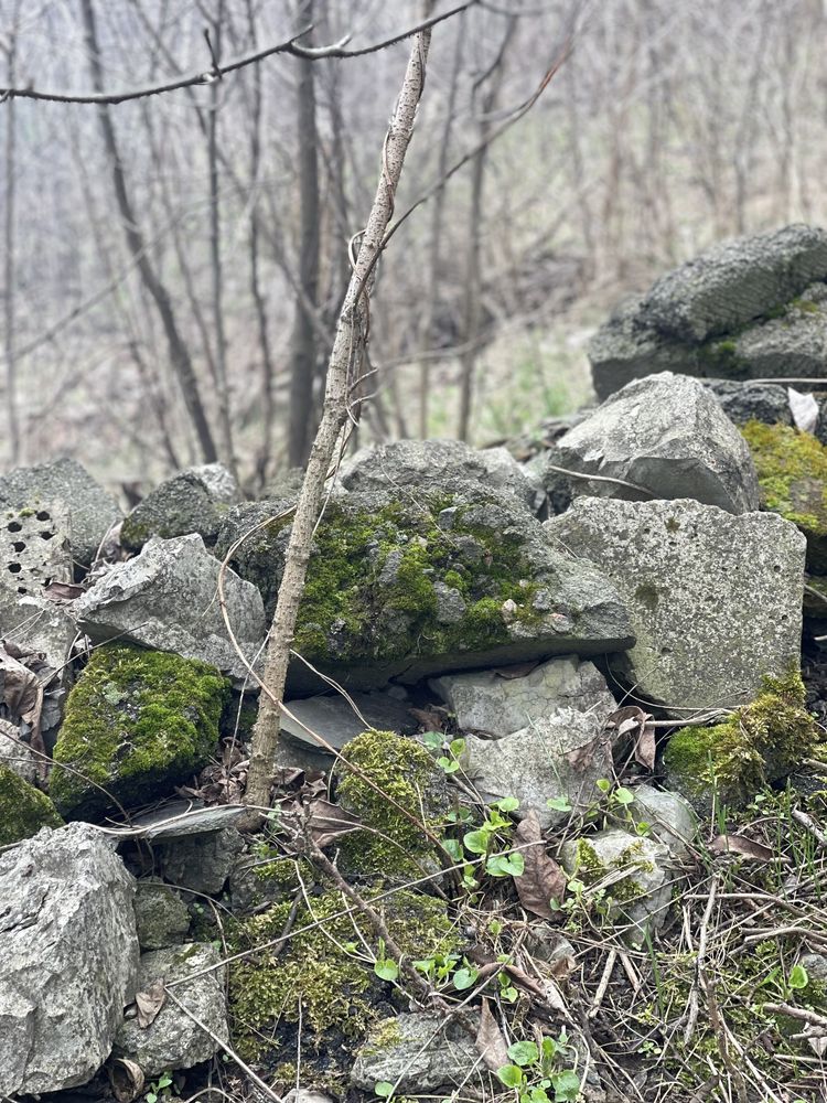 Земельна ділянка 0,12 га вихід в ліс під будівництво Креничі Підгірці