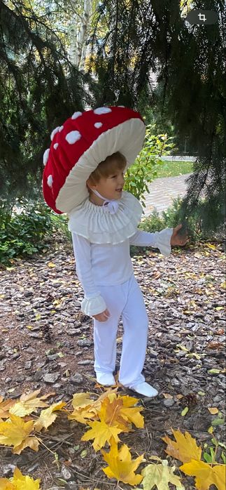 Костюми мухомор, білочка, заяць, хеллоуин на хлопчика прокат