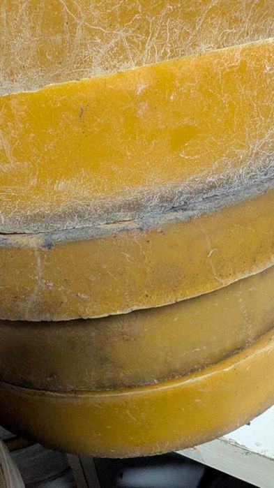 Sprzedam Wosk pszczeli