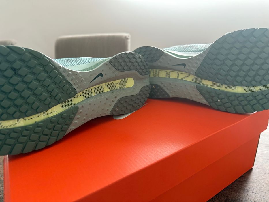 Nike Pegasus Premium