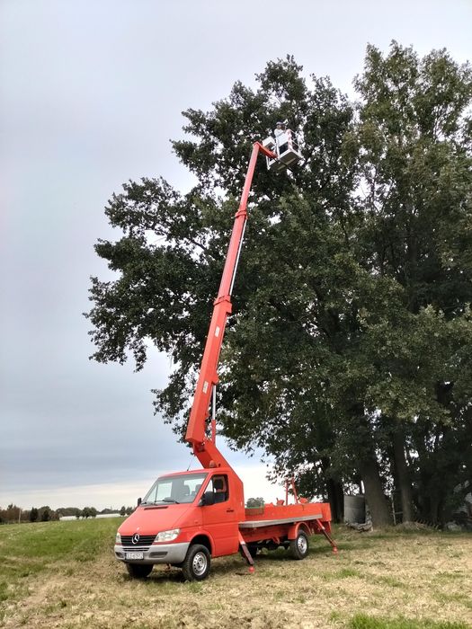 Wycinka drzew czyszczenie rynien zwyżka podnośnik koszowy