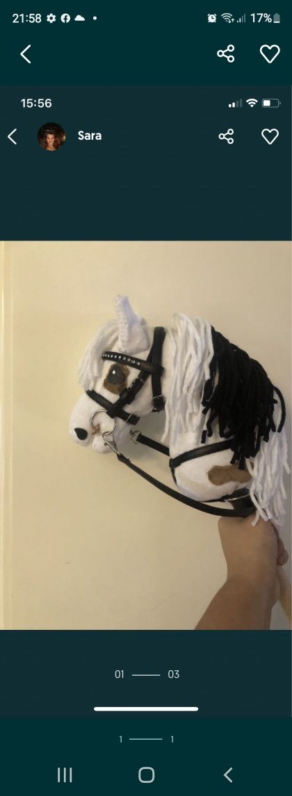 Hobby horse jedyny