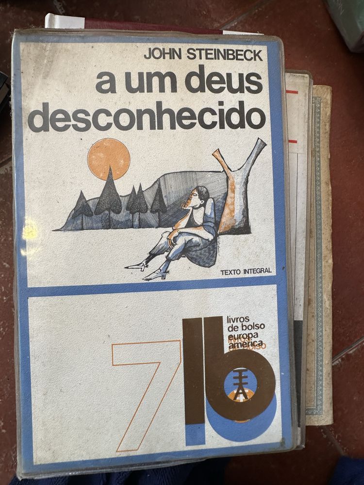 Livro a um deus desconhecido