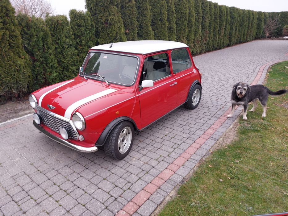 Sprzedam Mini Rover Morris