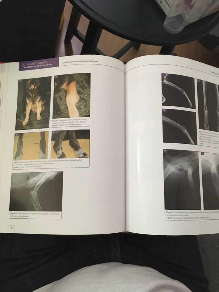 Livro veterinária : Bases anatomicas en intervenciones quirurgicas
