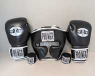 Спарингові сети Ringside Apex Title ProMex Fly Leone Playerz Ring2Cage