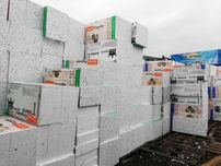 Styropian TERMO ORGANIKA Dalmatyńczyk fasada 0,044 gładki 51,60zł